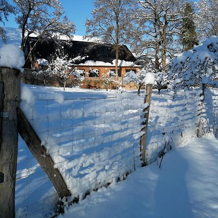 Gite Spacieux Et Cosy A La Campagne Proche De Strasbourg Achenheim Luaran gambar